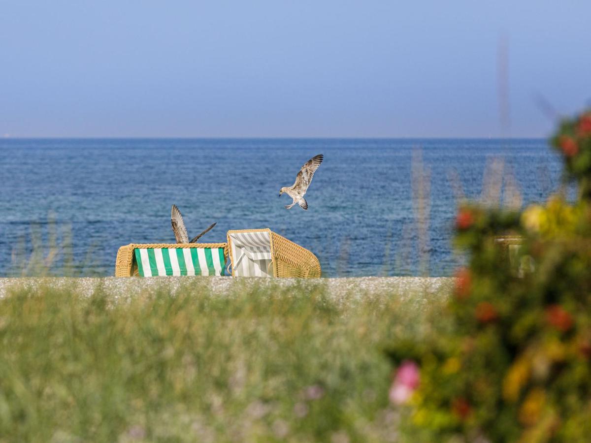 Aparthotel Zingst Dış mekan fotoğraf